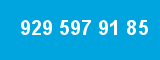 929 597 91 85 929 597 91 85